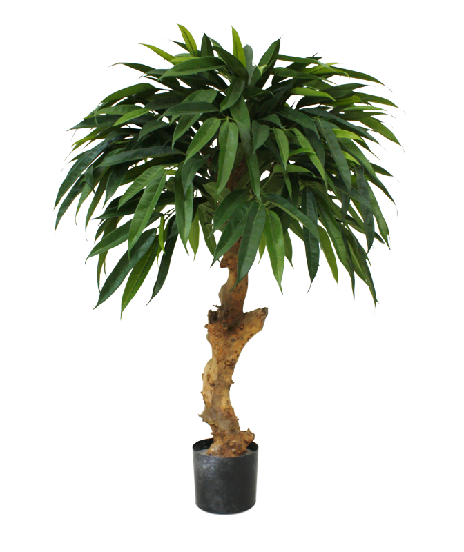 Ficus Longifolia Kunstbaum Royal 90 cm mit Stamm
