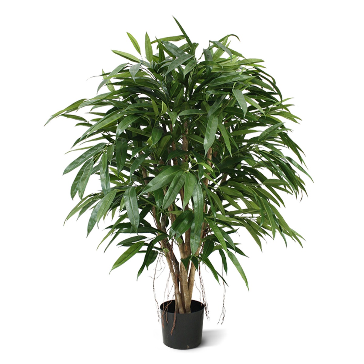 Ficus Longifolia Kunstbaum XL Deluxe 120 cm