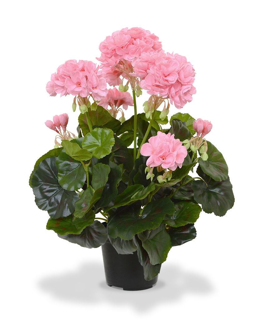 Geranien Kunstpflanze 40 cm rosa in Topf