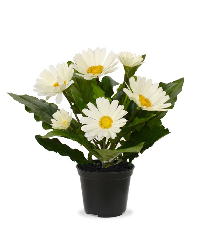 Gerbera Kunstpflanze 30 cm in Topf creme