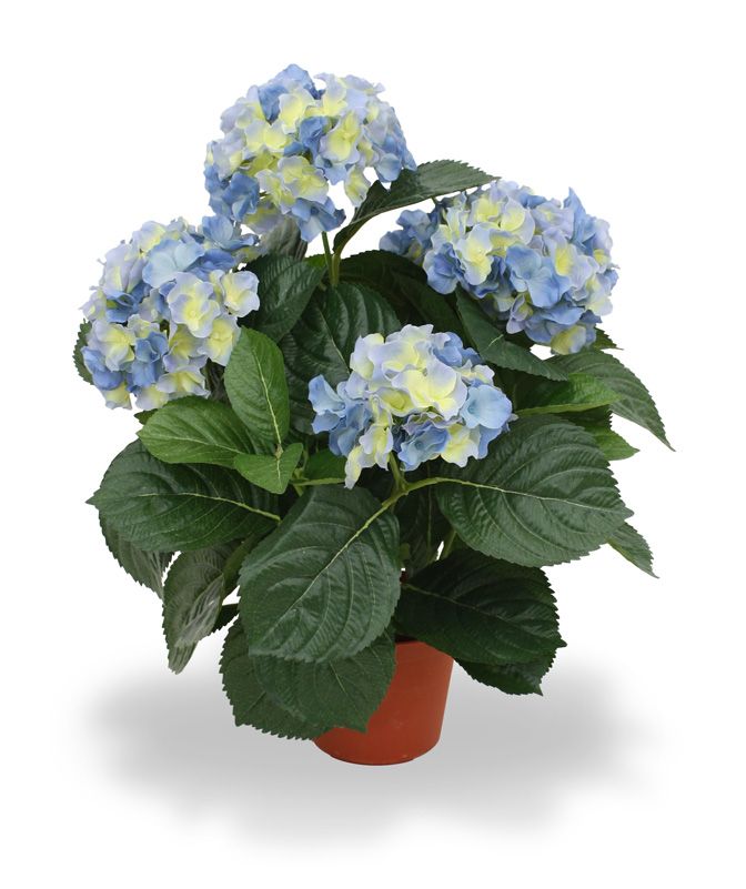 Hortensien Kunstblumen Deluxe 45 cm blau unter Blühende Kunstpflanzen