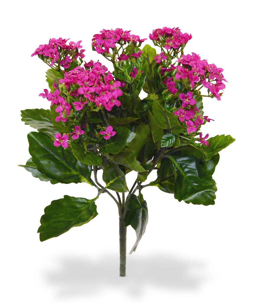 Kalanchoe Kunstbukett 30 cm violet unter Blhende Kunstpflanzen