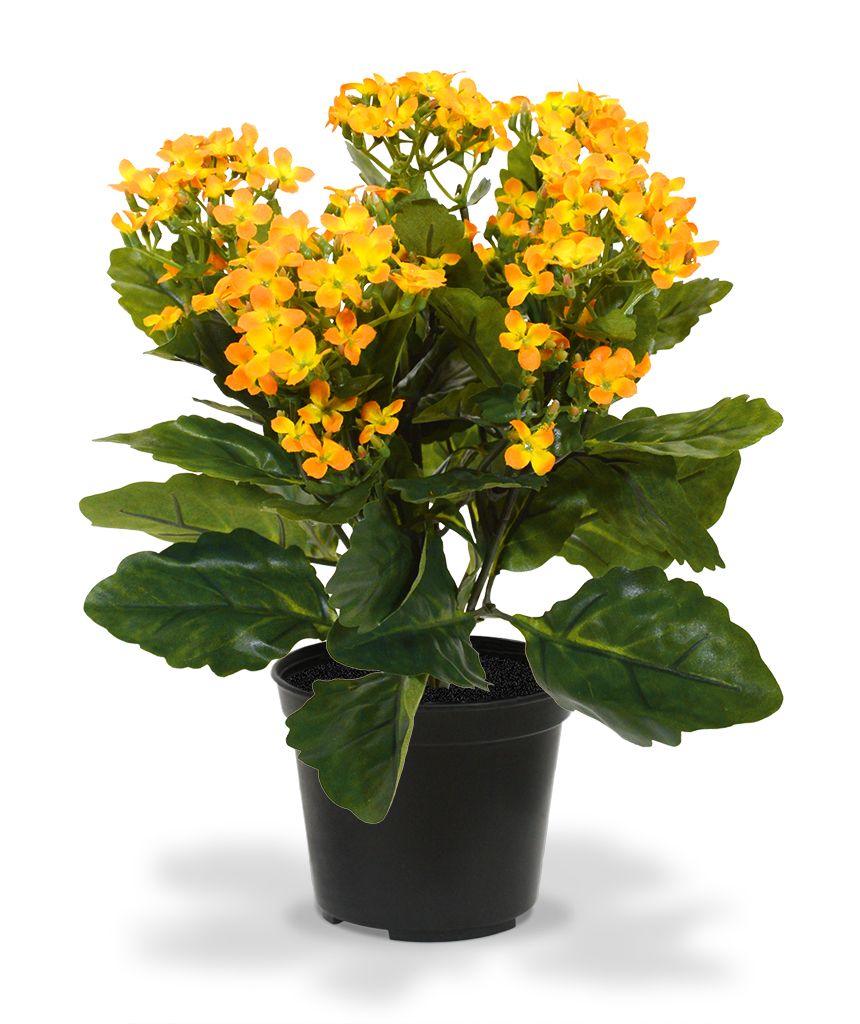 Kalanchoe Kunstpflanze 30 cm orange in Topf unter Blühende Kunstpflanzen