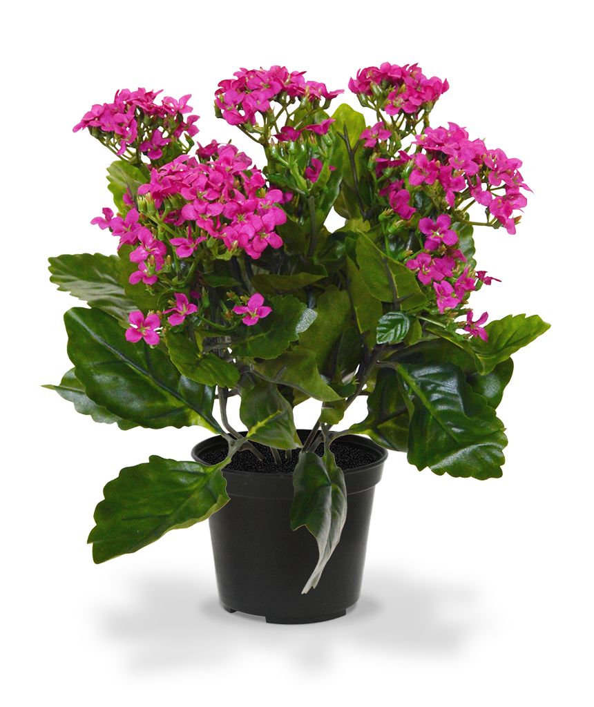 Kalanchoe Kunstpflanze 30 cm violet in Topf