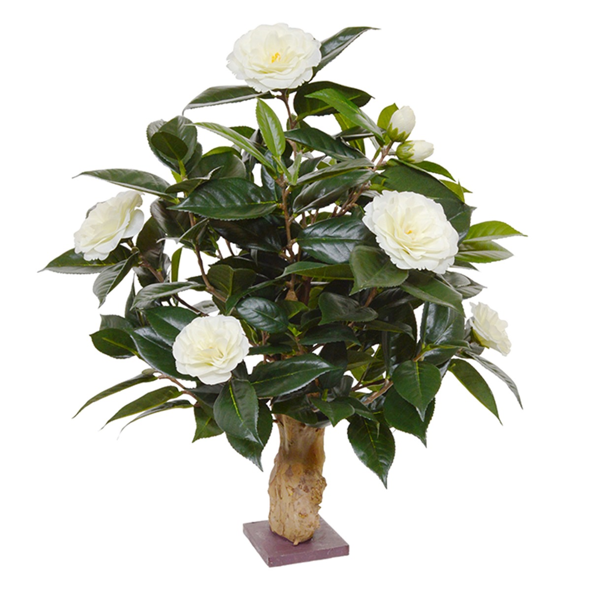 Kamelie Kunstpflanze (Camellia Japonica) 65 cm auf Fuss creme