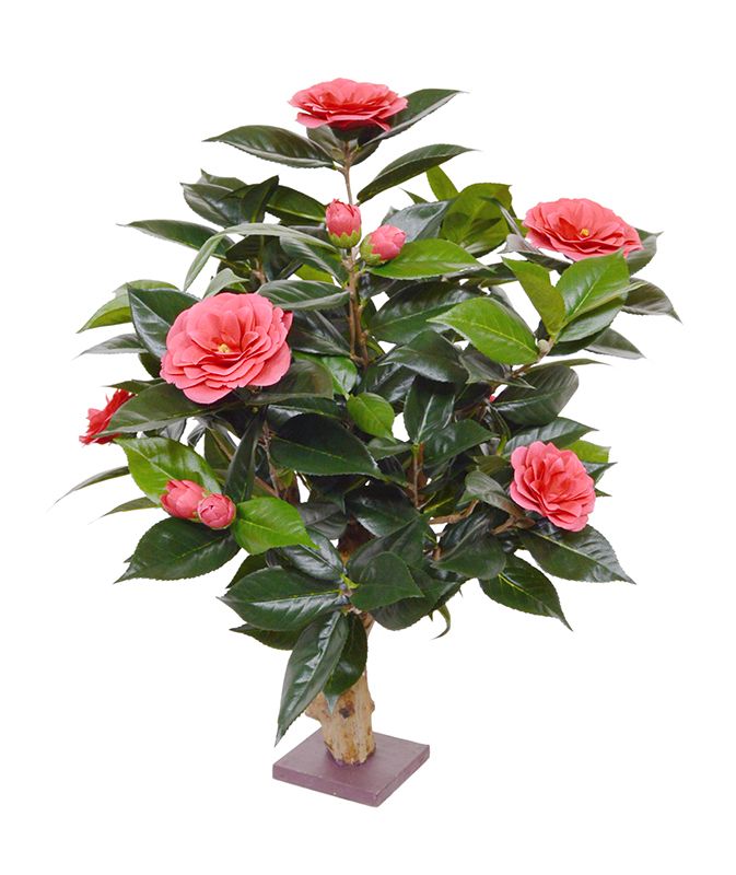 Kamelie Kunstpflanze (Camellia Japonica) 65 cm auf Fuss rosa