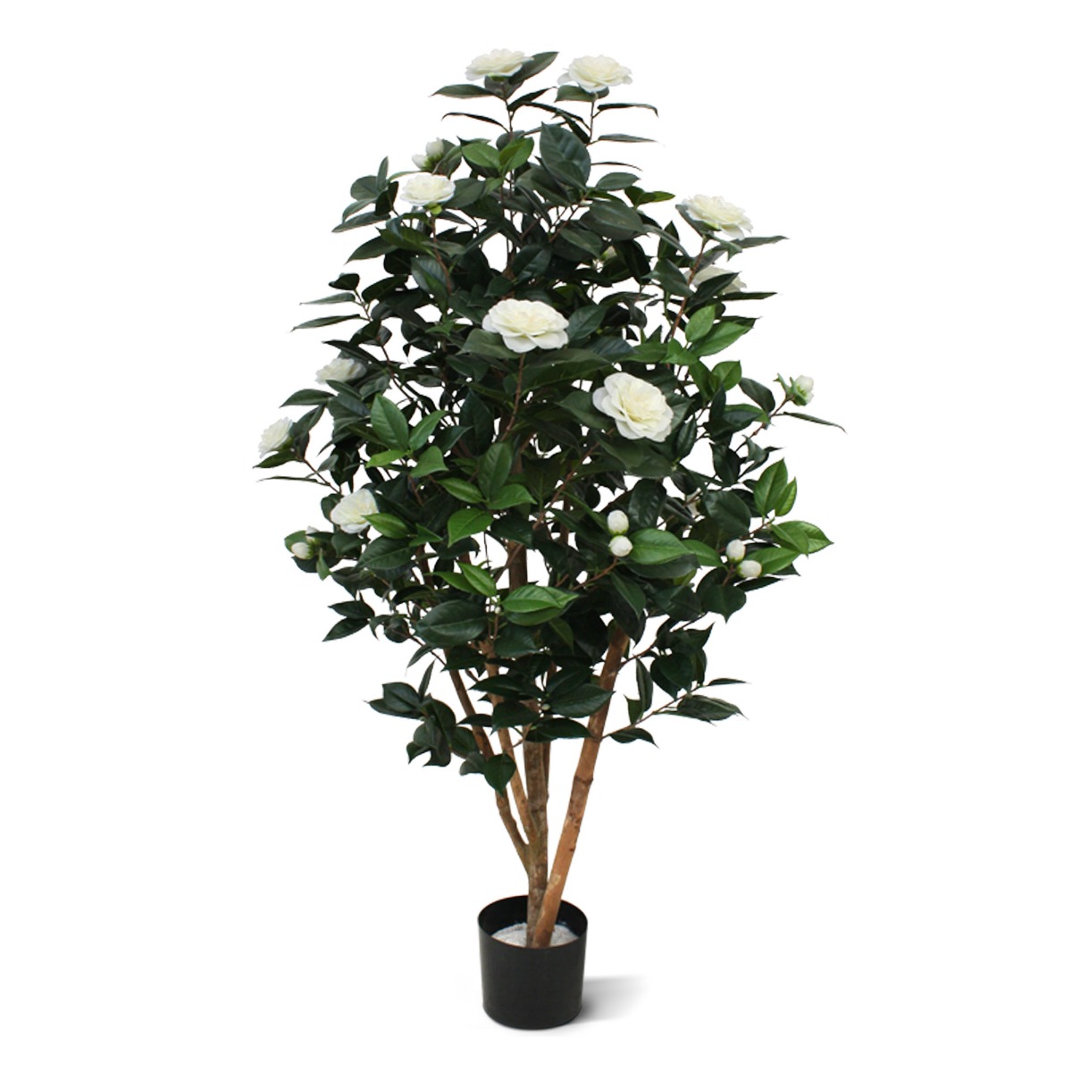 Kamelie Kunstpflanze (Camellia Japonica) Deluxe 150 cm creme unter Blühende Kunstbäume