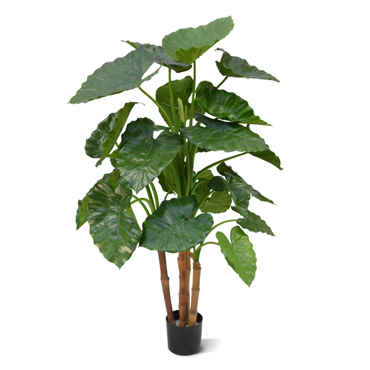 Knstliche Alocasia Calidora Deluxe x4 125 cm