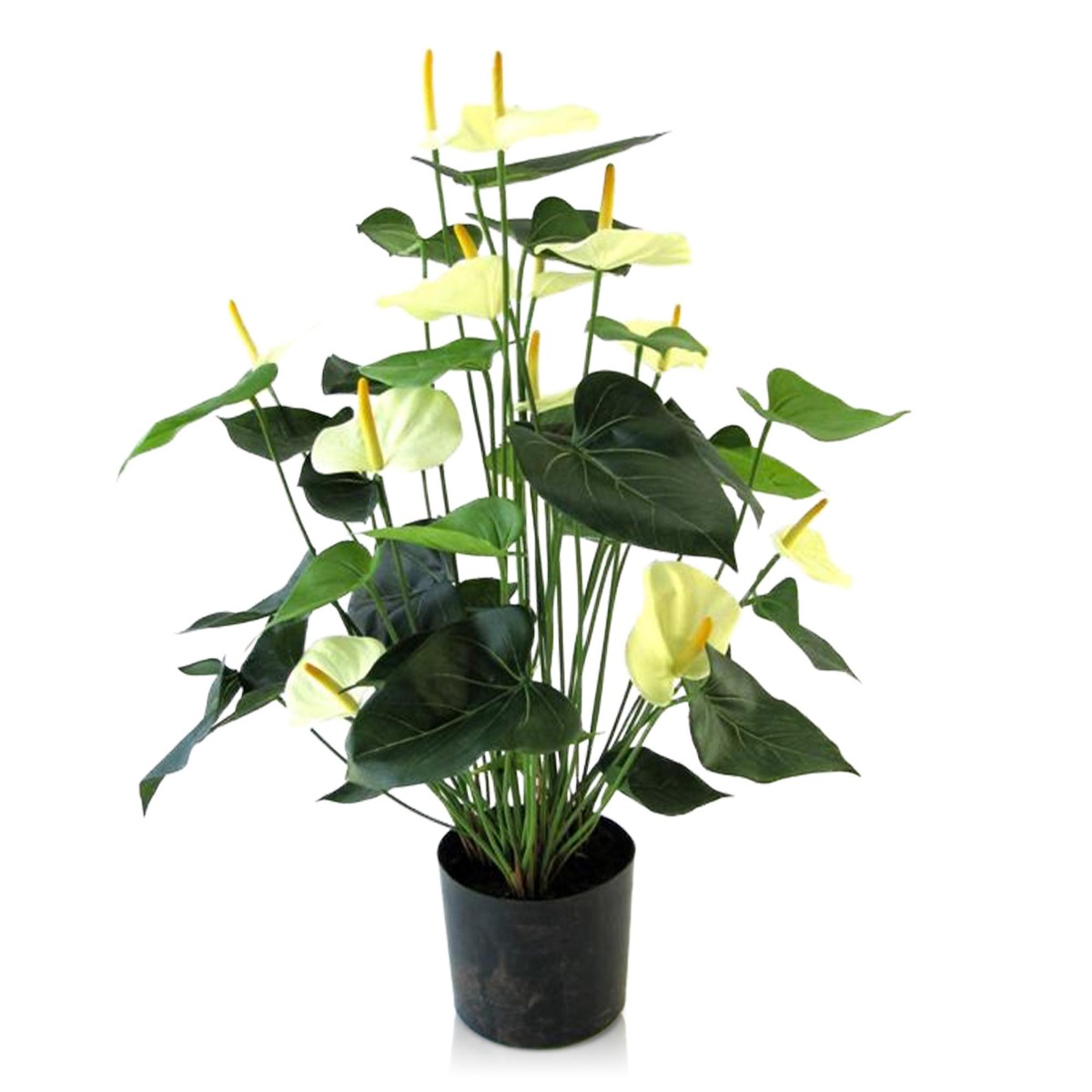 Künstliche Anthurie Deluxe 80 cm Creme unter Blühende Kunstpflanzen