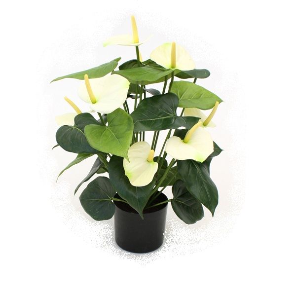 Künstliche Anthurie Deluxe creme 50 cm unter Blühende Kunstpflanzen