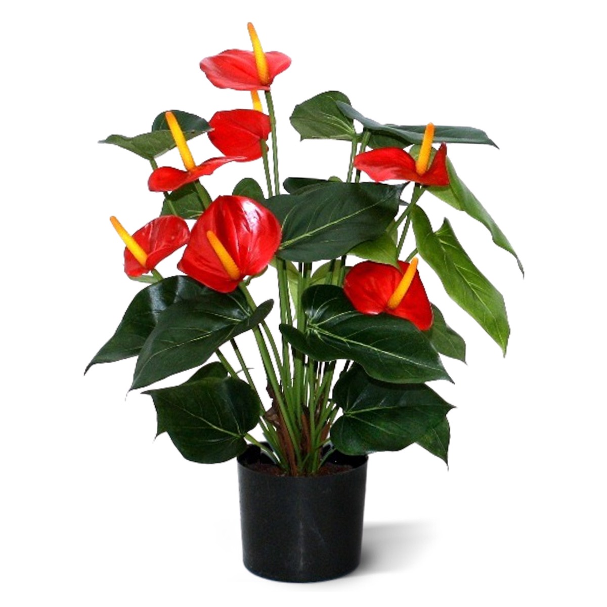 Künstliche Anthurie Deluxe rot 50 cm unter Blühende Kunstpflanzen