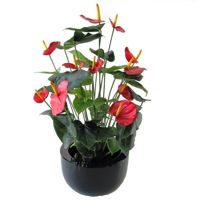 Künstliche Anthurie Deluxe rot 80 cm unter Blühende Kunstpflanzen