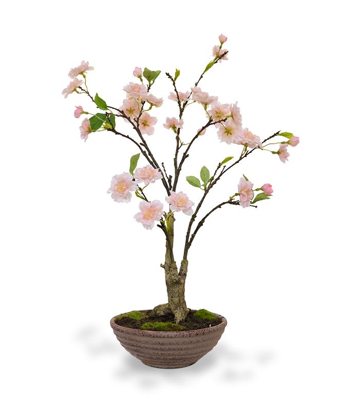 Knstliche Blte Bonsai baum 55 cm in Schale