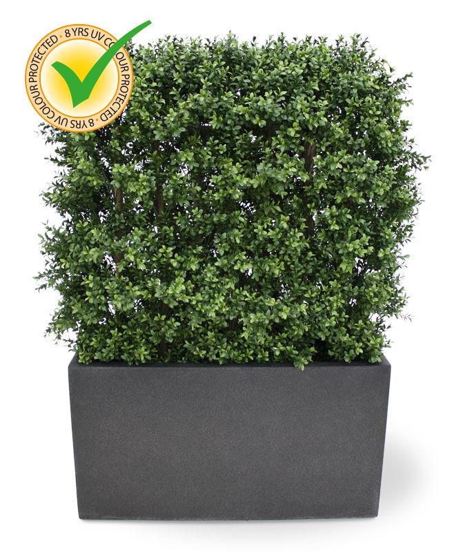 Knstliche Buchsbaumhecke Deluxe 80 x 100 cm UV-bestndig