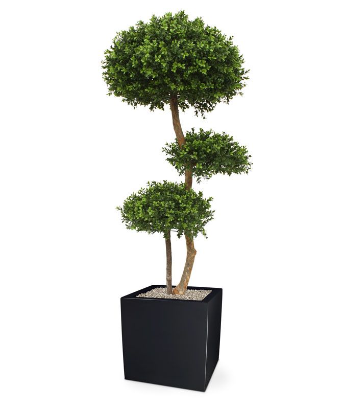 Künstliche Buchsbaumkugel x 3 Deluxe 140 cm