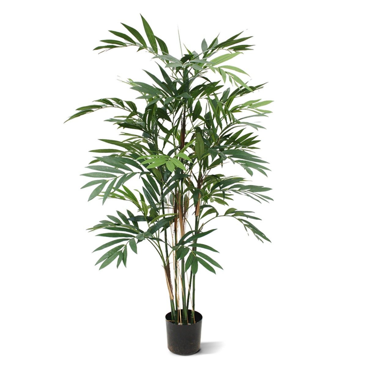Künstliche Chamaedorea (Bergpalme) Deluxe 150 cm unter Künstliche Palmen