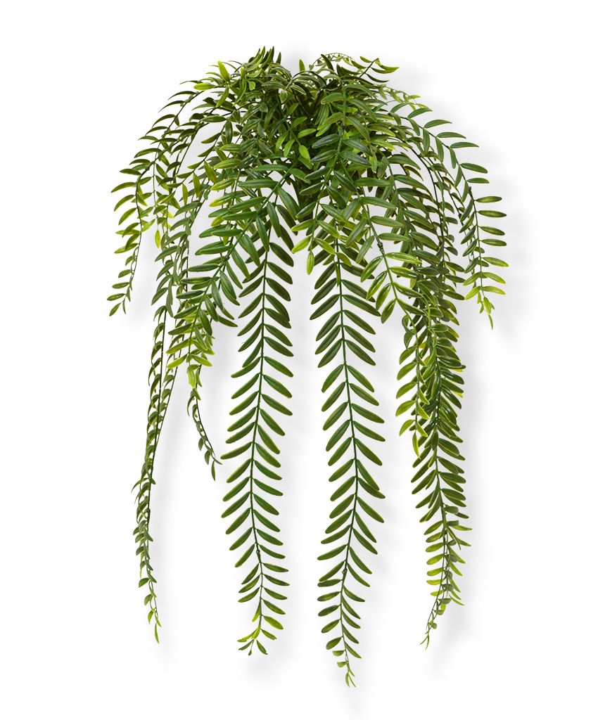 Knstliche Columnea Hngepflanze 65 cm