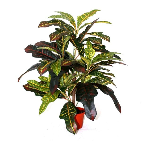 Künstliche Croton Fensterpflanze 50 cm