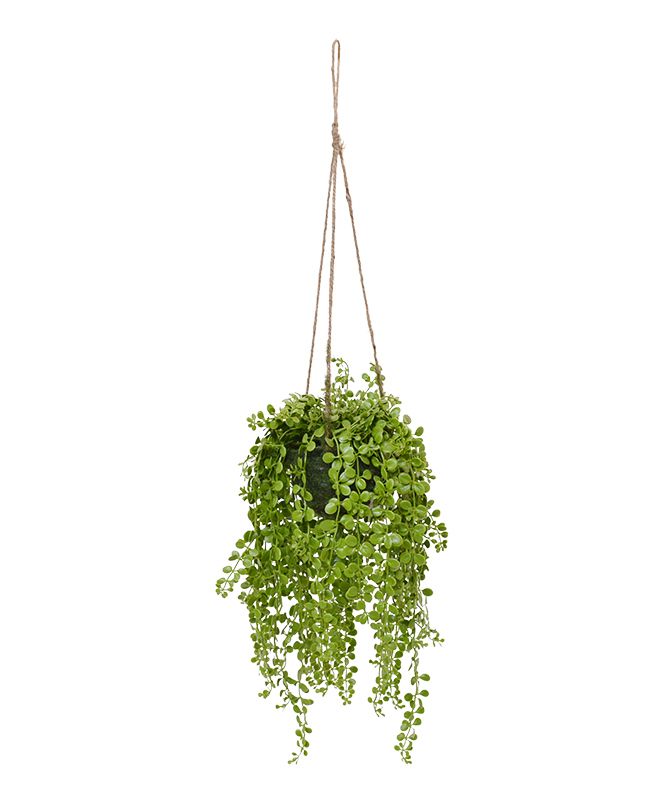 Knstliche Dischidia Hngepflanze 40 cm UV-bestndig