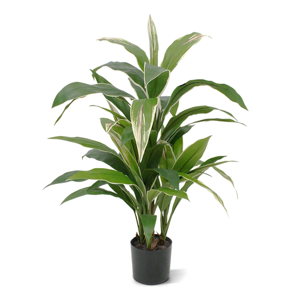 Knstliche Dracaena Pflanze 80 cm bunt