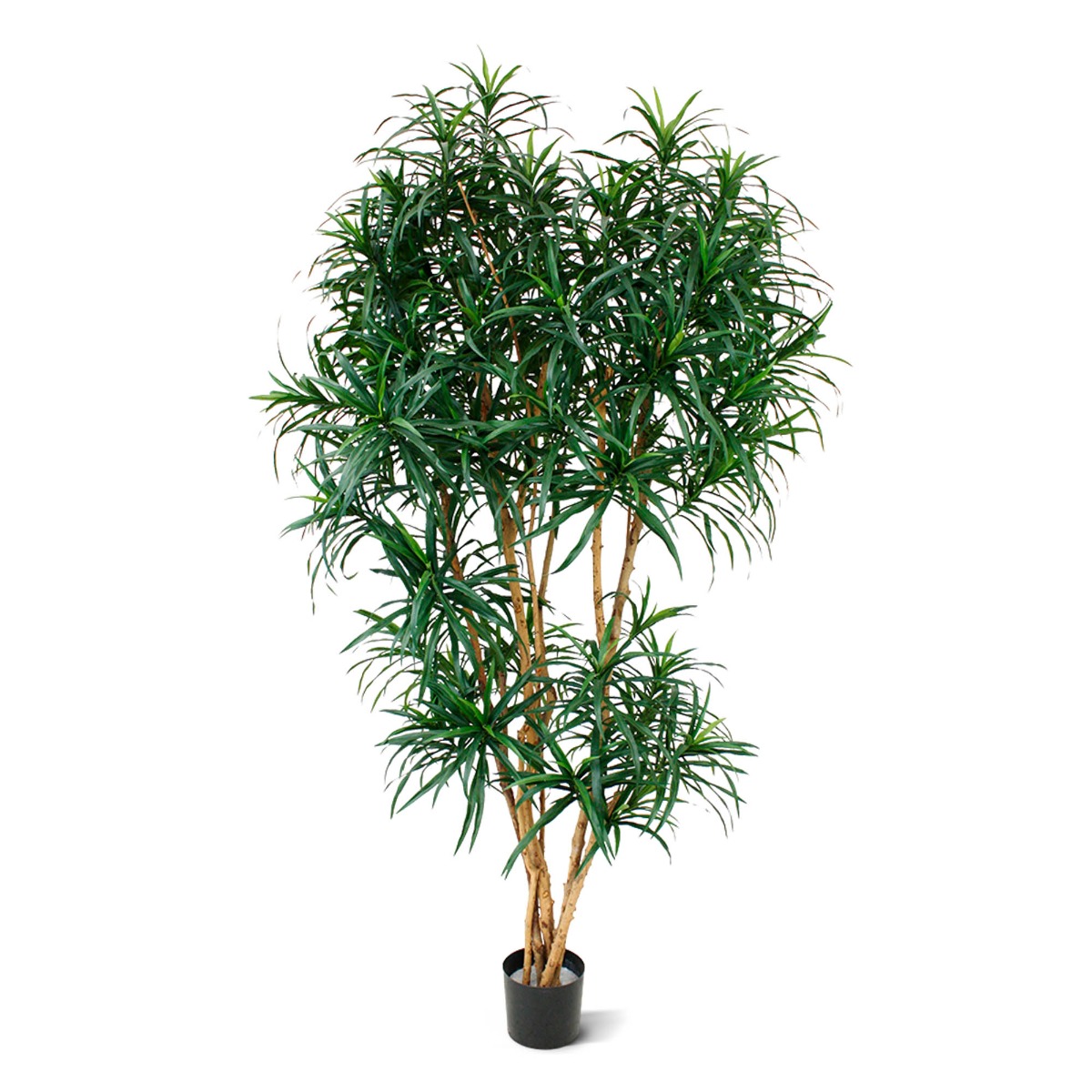 Künstliche Drachenbaum Reflexa XL (Dracaena) 190 cm grün