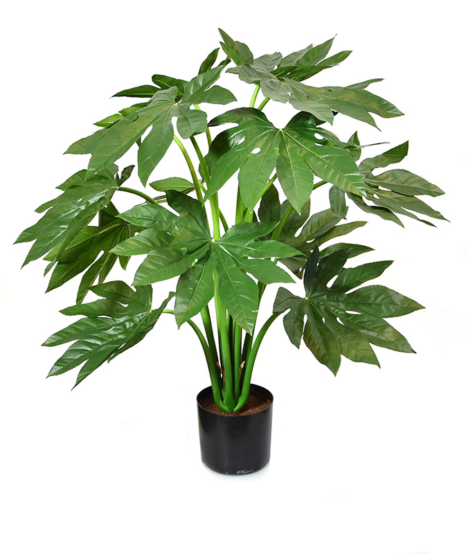 Knstliche Fatsia Japonica Zimmeraralie 80 cm