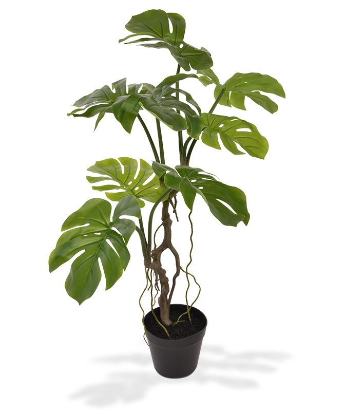 Knstliche Monstera 70 cm