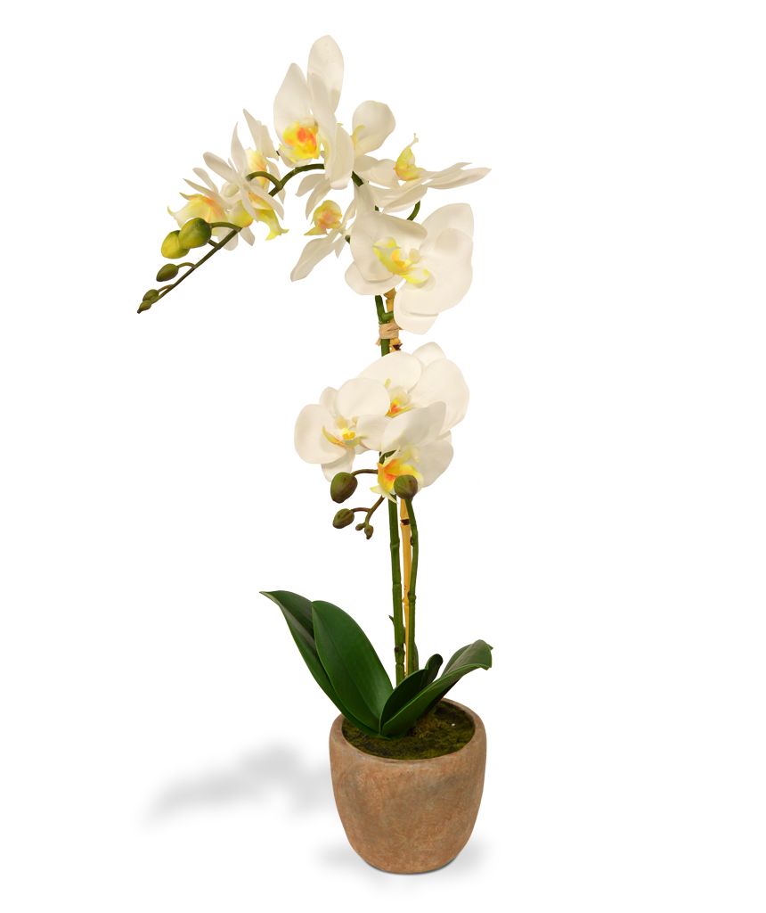 Künstliche Orchidee - Phalaenopsis 50 cm weiss in braunem Topf unter Blühende Kunstpflanzen