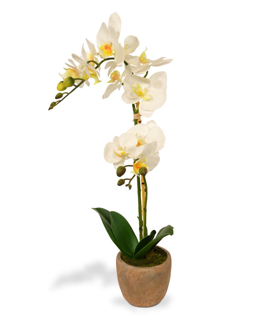 Knstliche Orchidee - Phalaenopsis 50 cm weiss in braunem Topf