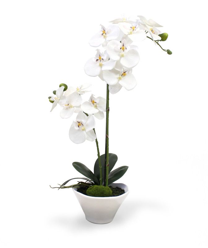 Knstliche Orchidee - Phalaenopsis 50 cm x2 in Schale