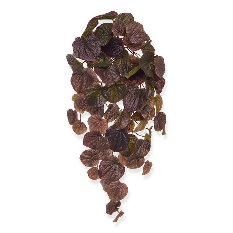 Knstliche Peperomia Caperata Hngepflanze 60 cm burgundy