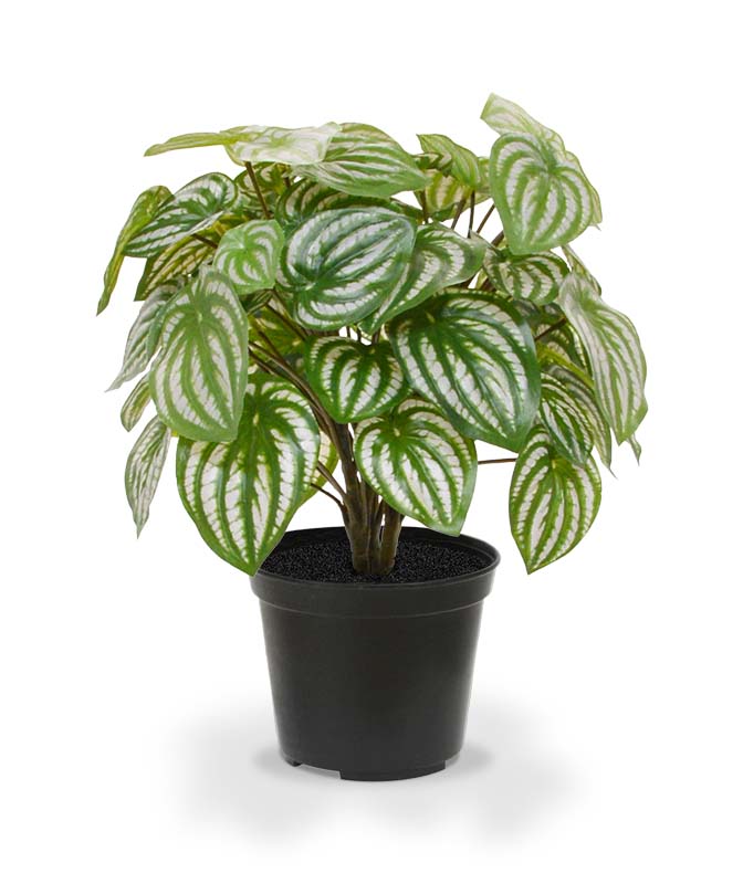 Knstliche Peperomia Pflanze 30 cm in Topf