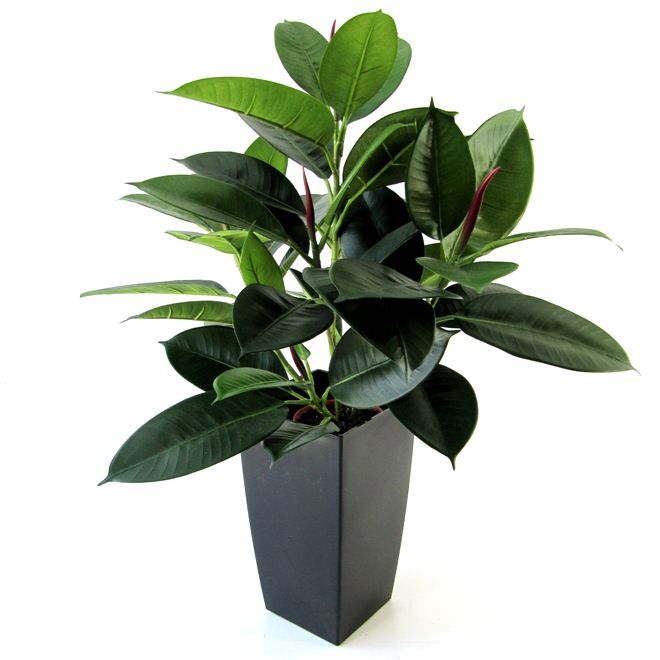 Künstliche Philodendron Fensterpflanze 50 cm in Topf