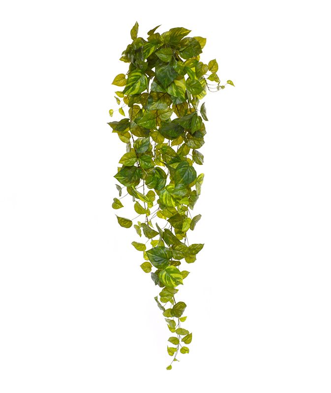 Künstliche Pothos Hängepflanze 130 cm bunt unter Künstliche Hängepflanzen