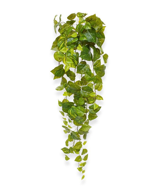 Künstliche Pothos Hängepflanze 90 cm bunt unter Künstliche Hängepflanzen