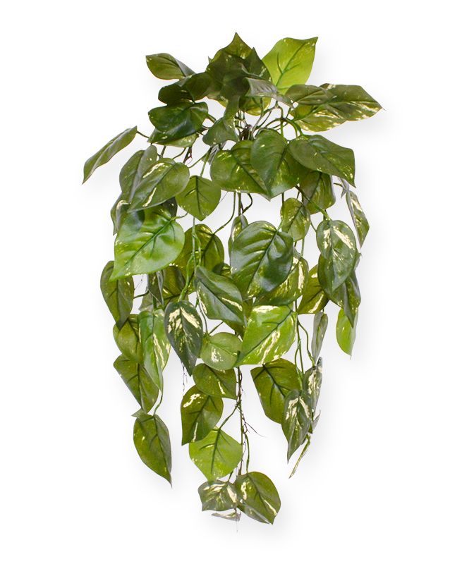 Knstliche Pothos Hngepflanze deluxe 70 cm bunt