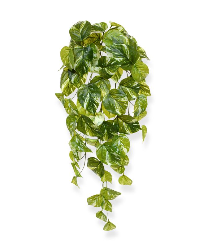 Künstliche Pothos Hängepflanze (Efeutute) 60 cm unter Künstliche Hängepflanzen