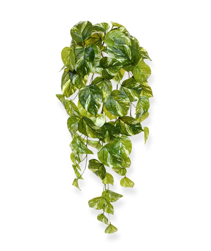 Knstliche Pothos Hngepflanze (Efeutute) 60 cm