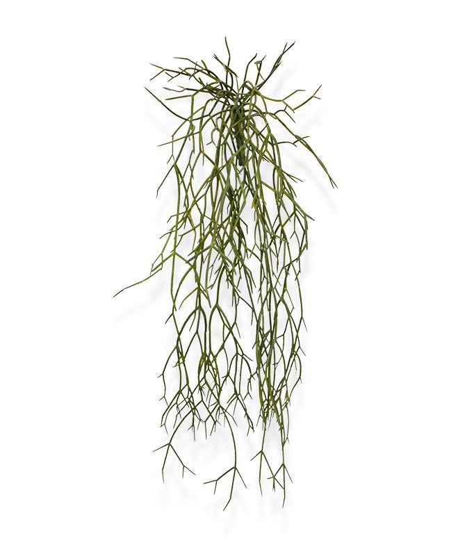 Künstliche Rhipsalis Micrantha Hängepflanze 55 cm