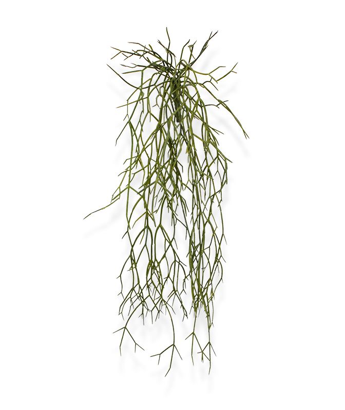 Knstliche Rhipsalis Micrantha Hngepflanze 55 cm