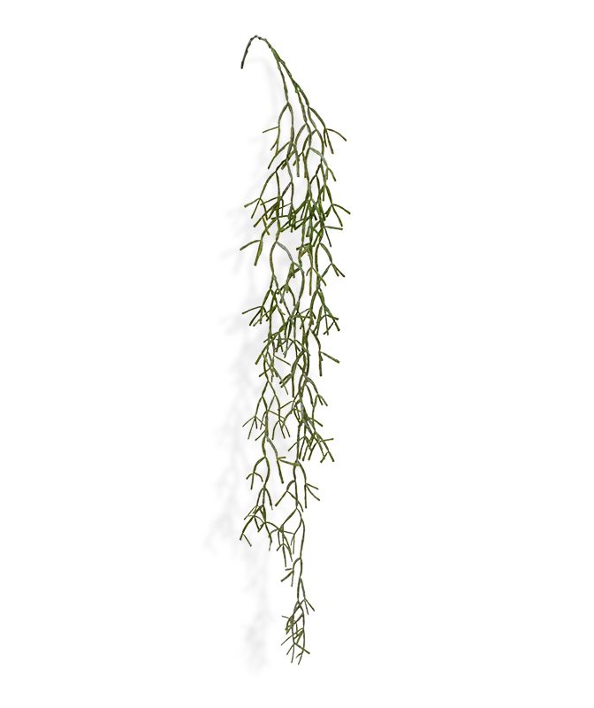 Knstliche Rhipsalis Trigona Hngepflanze 100 cm