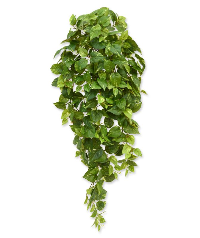 Künstliche Scindapsus Hängepflanze 100 cm bunt unter Künstliche Hängepflanzen