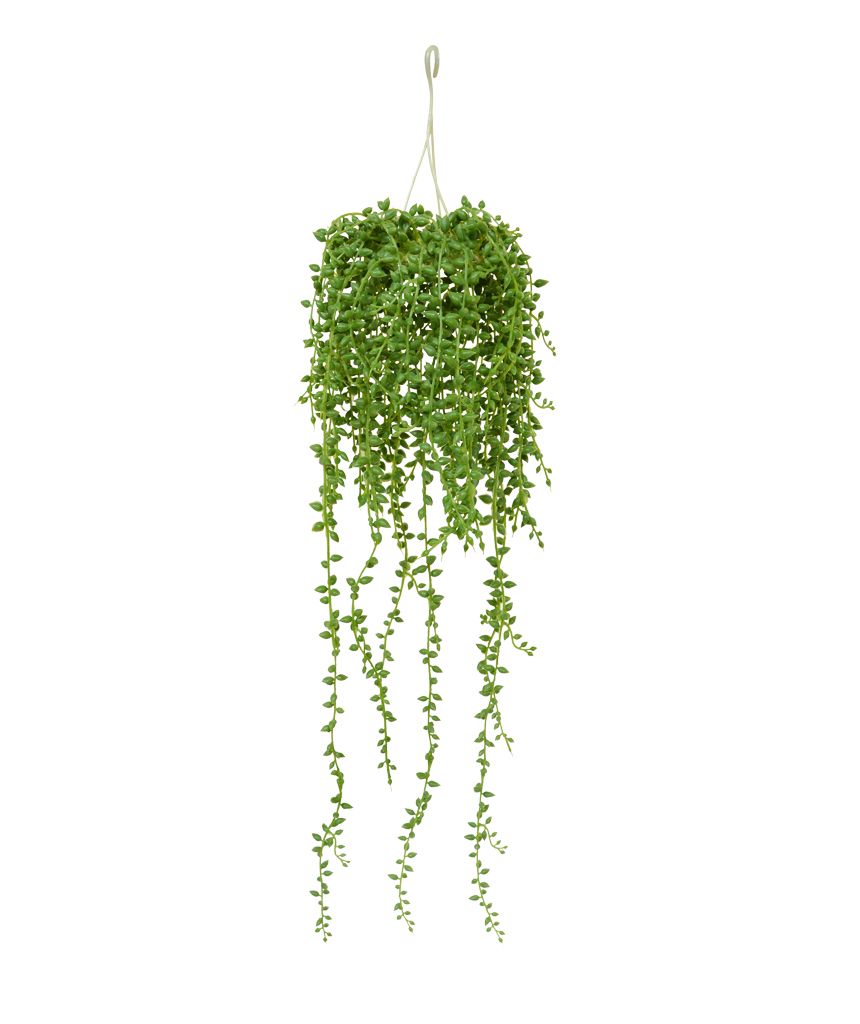 Künstliche Senecio Hängepflanze 60 cm