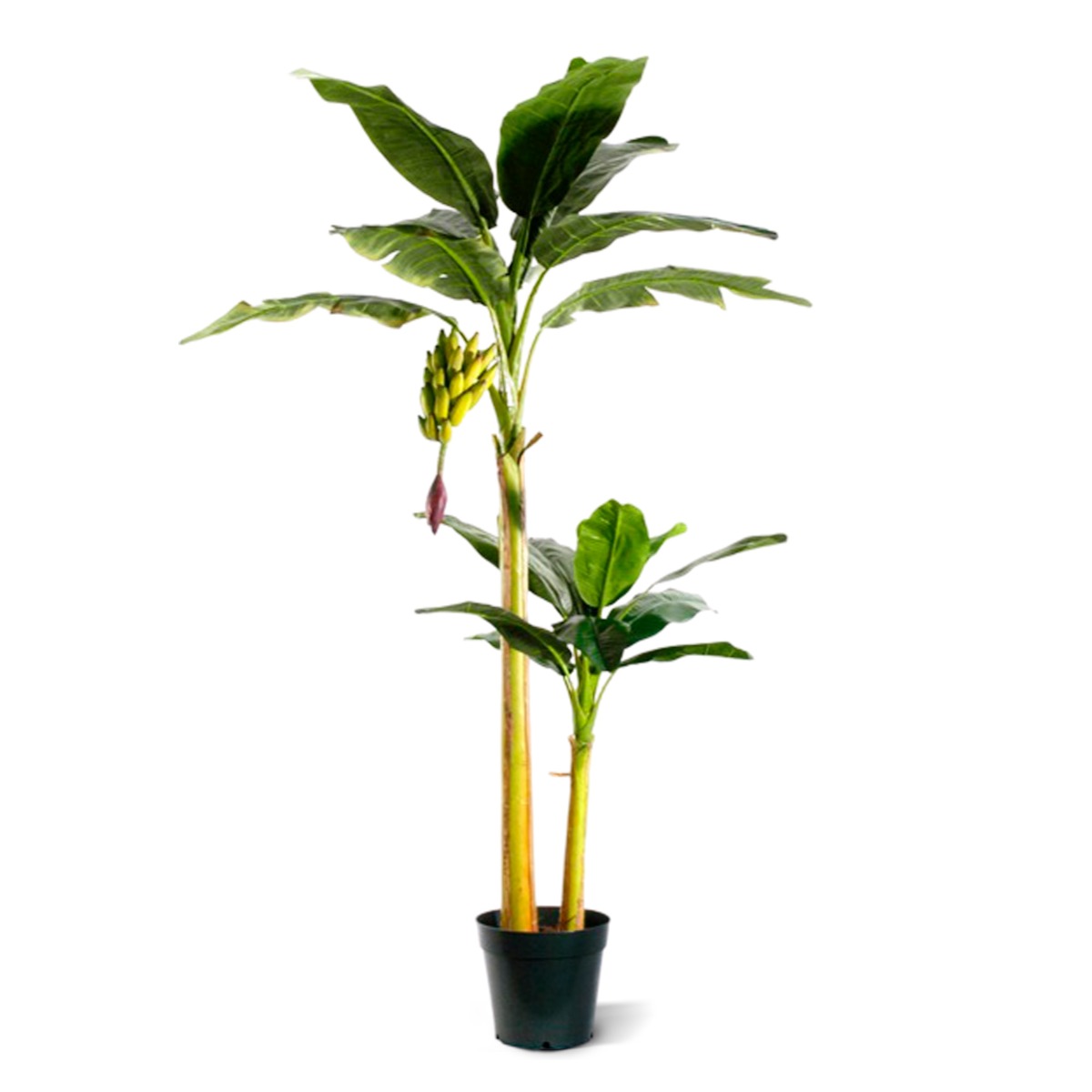Künstlicher Bananenbaum 240 cm