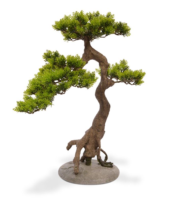 Knstlicher Cedar Bonsai 55 cm auf Fuss