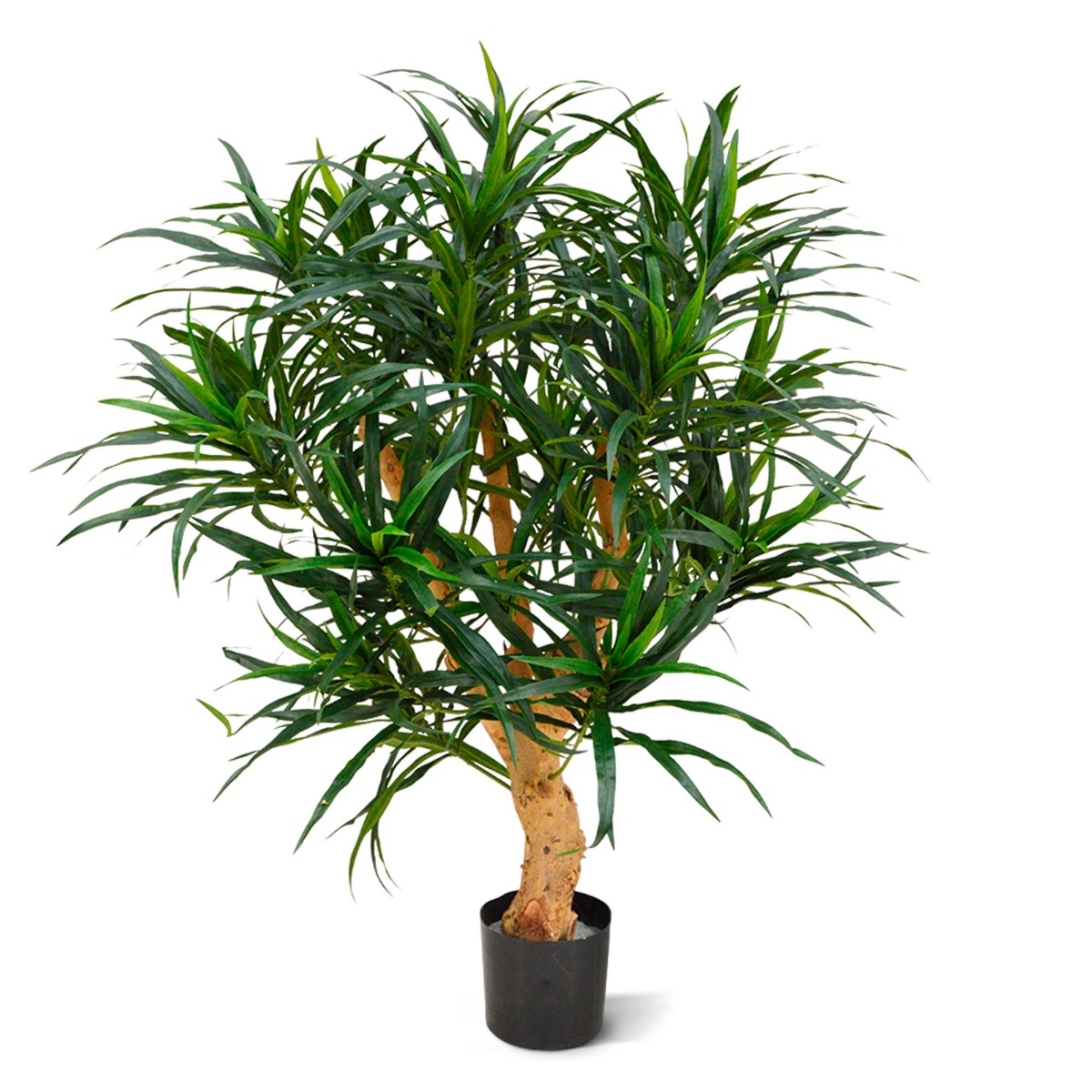 Knstlicher Drachenbaum (Dracaena) Reflexa Anita 95 cm