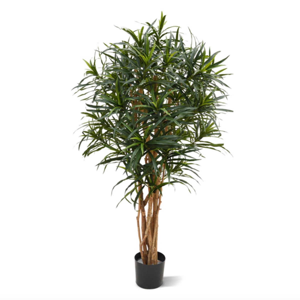 Knstlicher Drachenbaum reflexa Anita (Dracaena) 145 cm