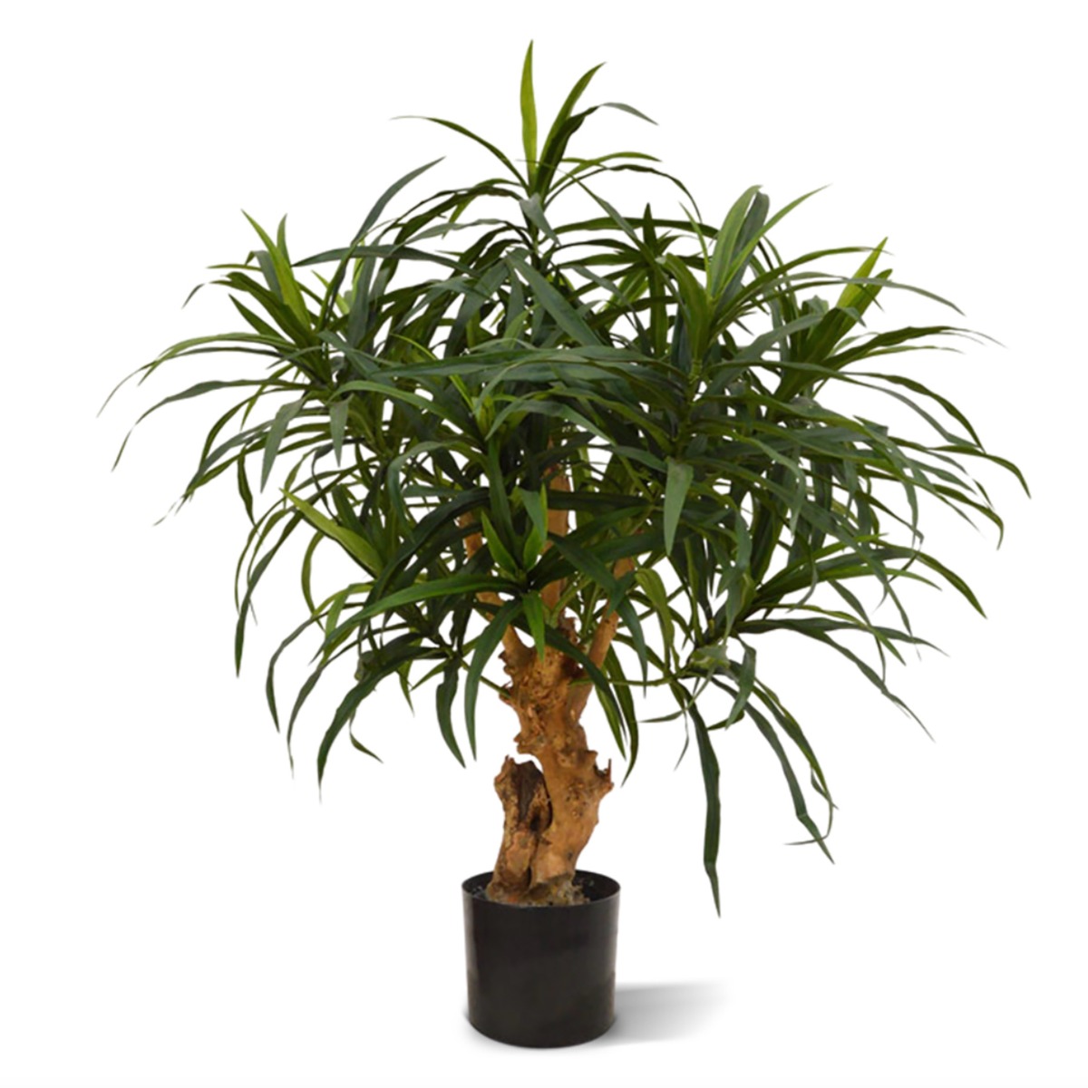 Knstlicher Drachenbaum Reflexa Anita (Dracaena) 75 cm