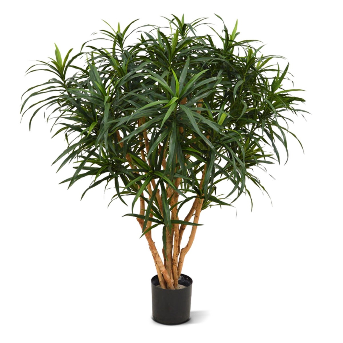 Knstlicher Drachenbaum reflexa Anita XL (Dracaena) 120 cm