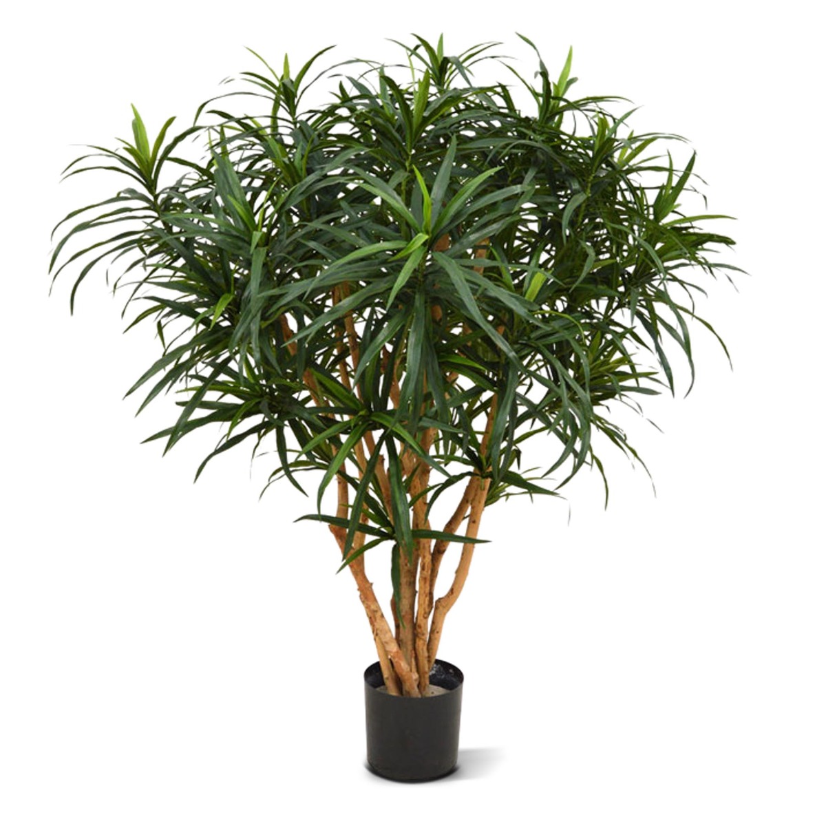 Knstlicher Drachenbaum reflexa Anita XL (Dracaena) 120 cm